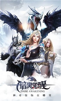 暗黑觉醒变态版截图1