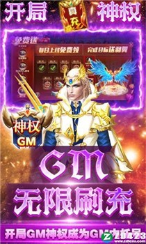 巫师血脉破解版截图1