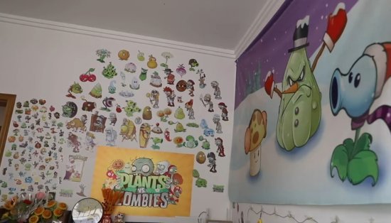 《植物大战僵尸杂交版》00后辍学少年以创意游戏铺就人生新径