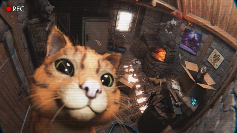 《方舟：生存飞升》新生物“猫”正式上线