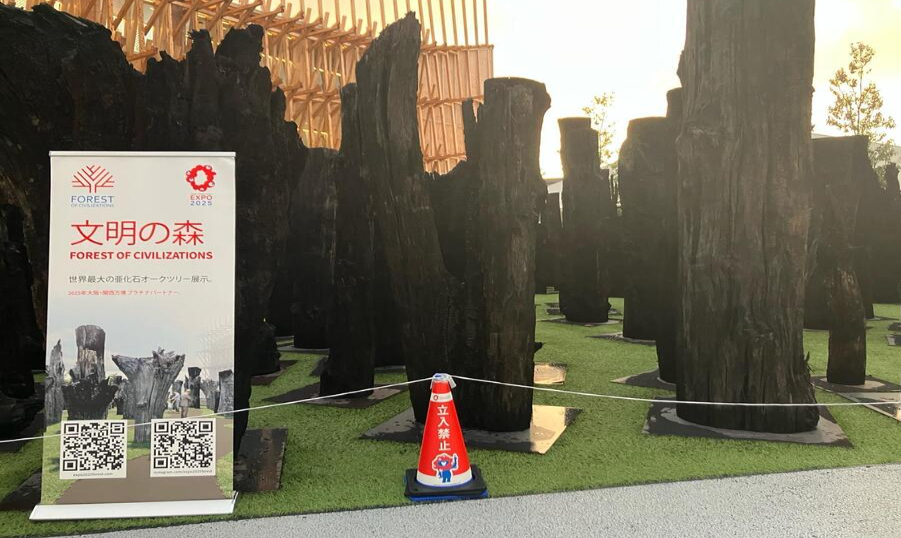 大阪世博会热门景点“文明之森”因网友质疑封闭