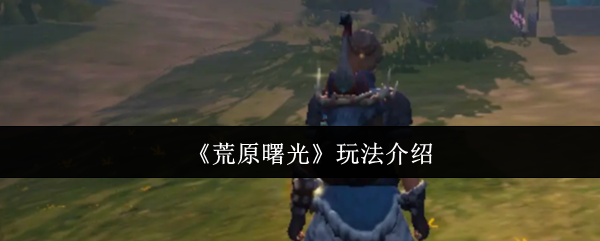 《荒原曙光》玩法介绍