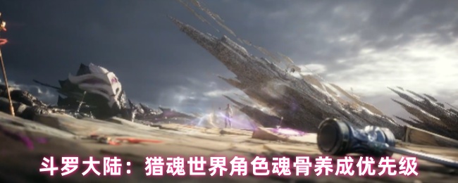 斗罗大陆：猎魂世界角色魂骨养成优先级