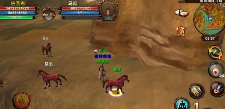 卧虎藏龙2哪里刷新马匹 卧虎藏龙2哪里刷新马匹