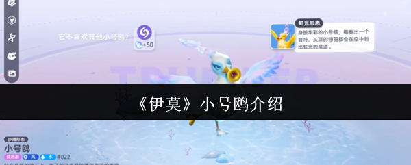 《伊莫》小号鸥介绍