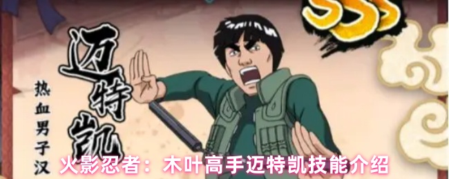 火影忍者：木叶高手迈特凯技能介绍