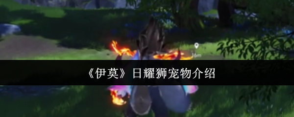 《伊莫》日耀狮宠物介绍