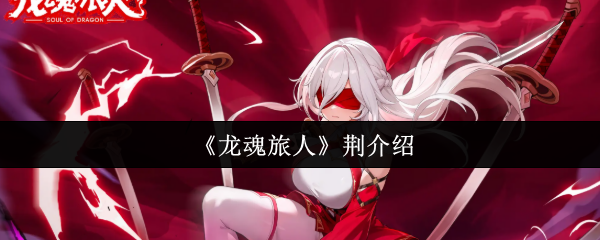 《龙魂旅人》荆介绍