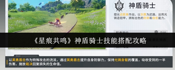 《星痕共鸣》神盾骑士技能搭配攻略