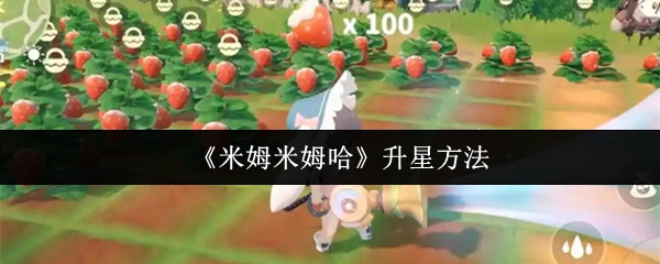 《米姆米姆哈》升星方法