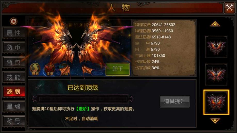 ​全民奇迹宠物怎么搭配